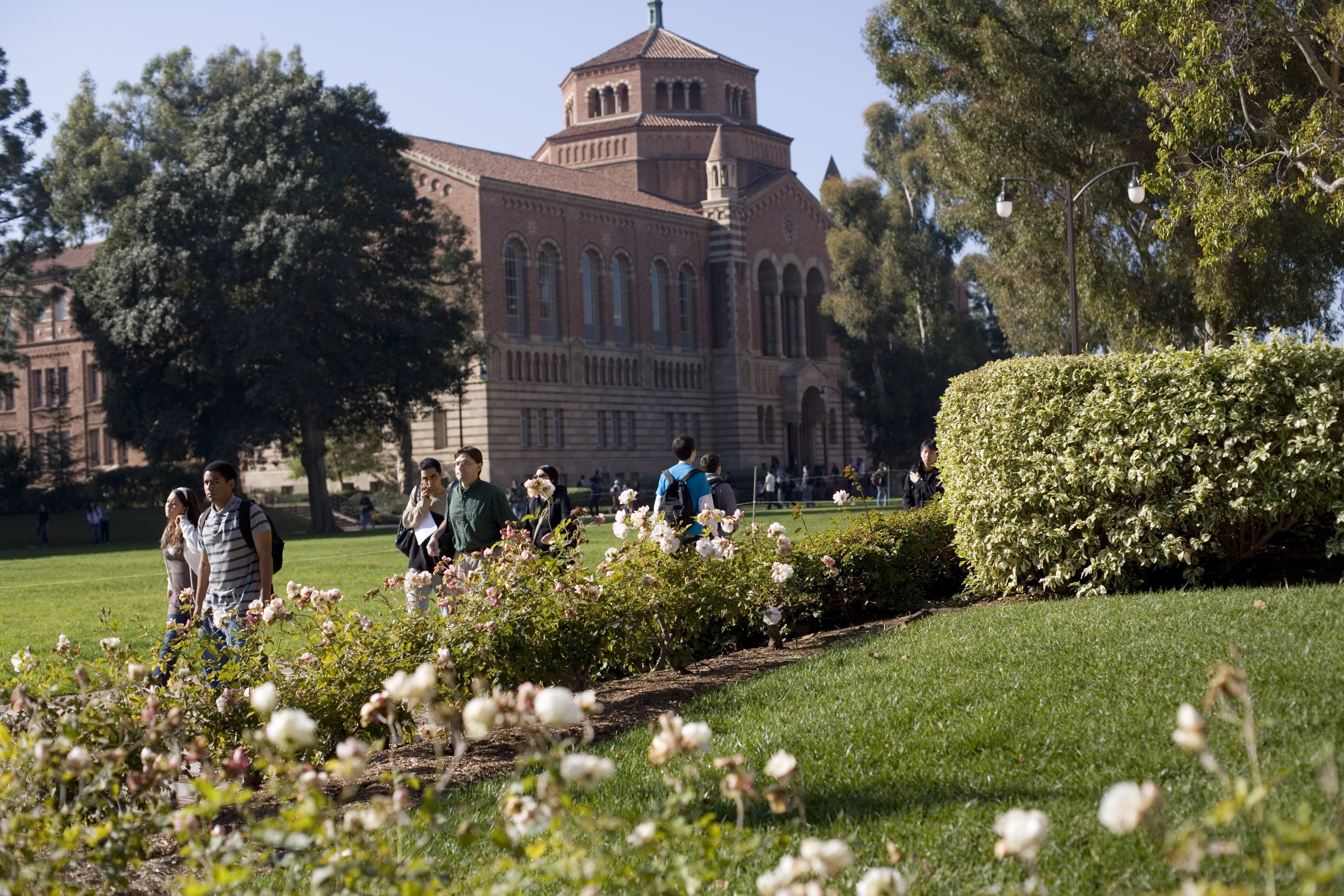 UCLA students studying in Summer Sessions