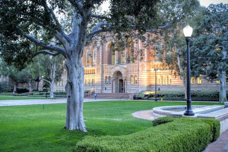 Summer Programs | UCLA Economics