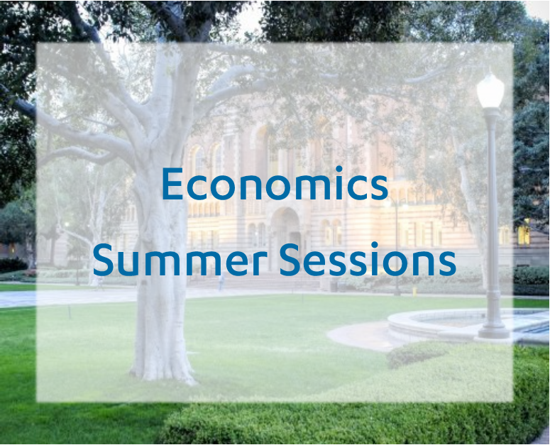 summer research programs economics