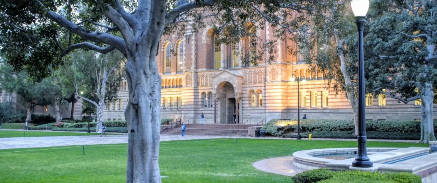 ucla phd economics placement