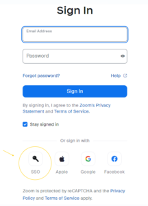 Zoom SSO Screen
